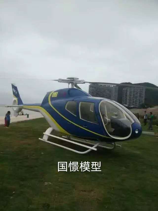 飛機模型